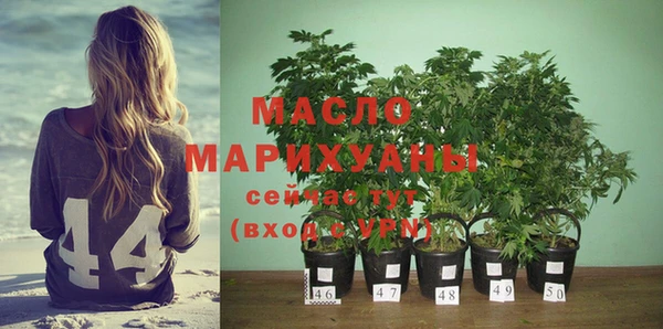 сатива Бронницы