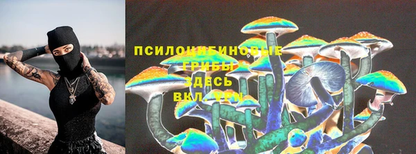 сатива Бронницы