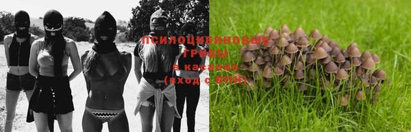 сатива Бронницы