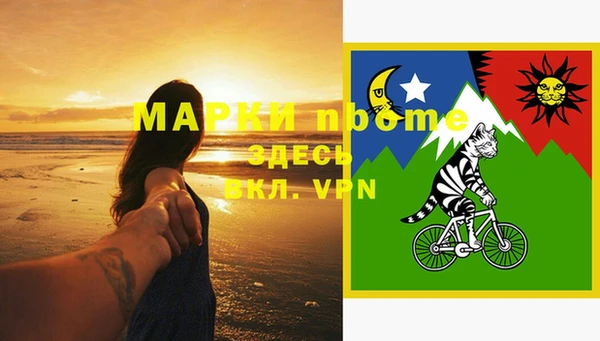 сатива Бронницы